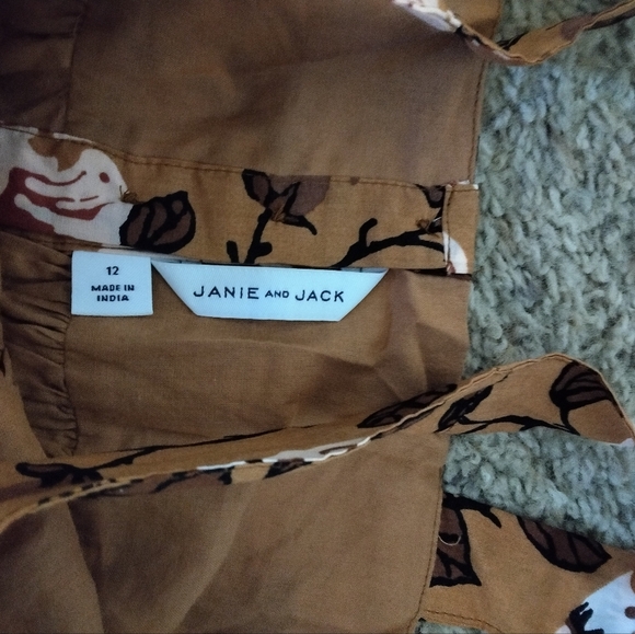 Janie & Jack Butterfly Floral Sweetheart Dress Size 12 Fall Babydoll Dress - Picture 5 of 7